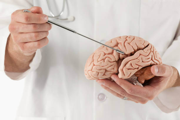 Neurosurgery Services